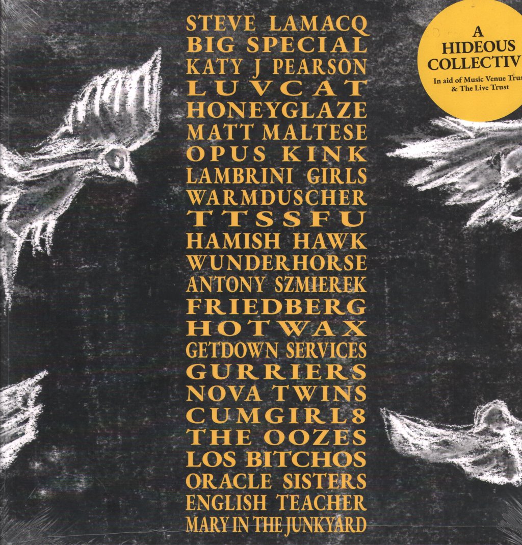 Various Artists - A Hideous Collective - Double Lp