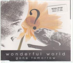 Gone Tomorrow - Wonderful World - Cd