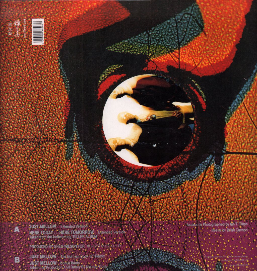 Ruthless Rap Assassins - Just Mellow - 12 Inch