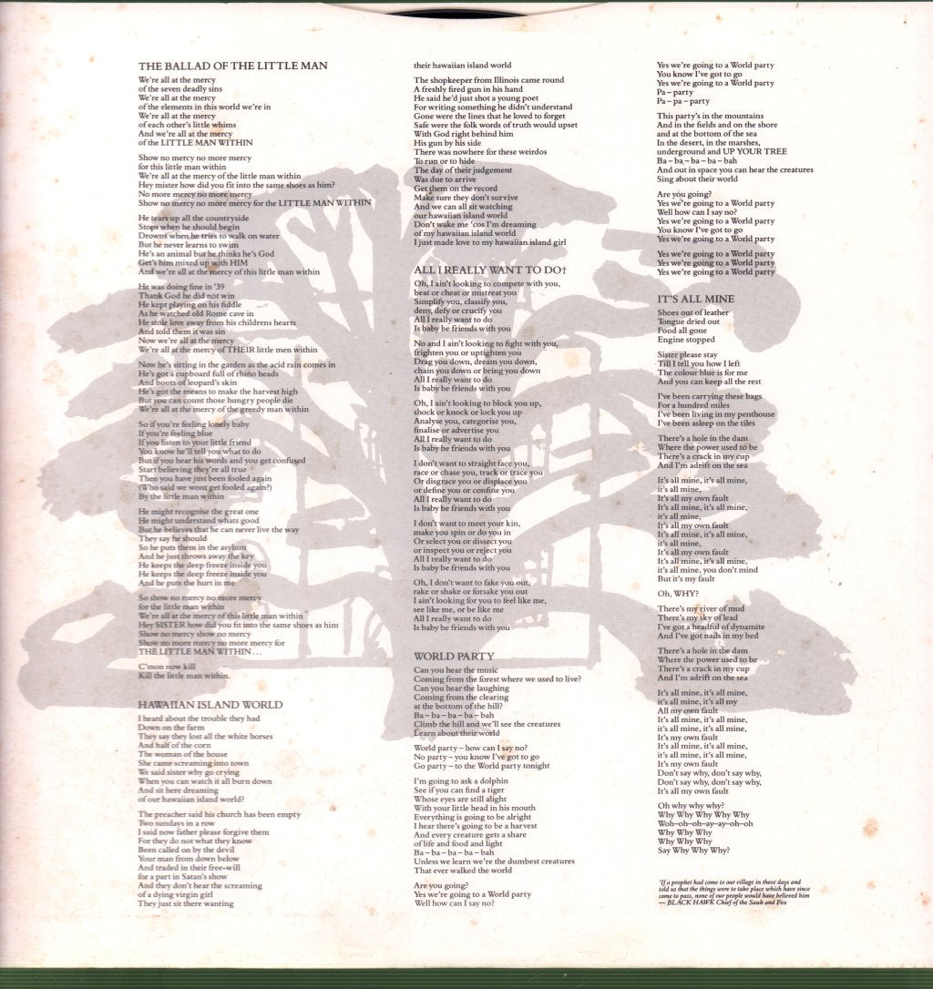 World Party - Private Revolution - Lp