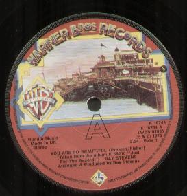 Ray Stevens - You Are So Beautiful - 7 Inch