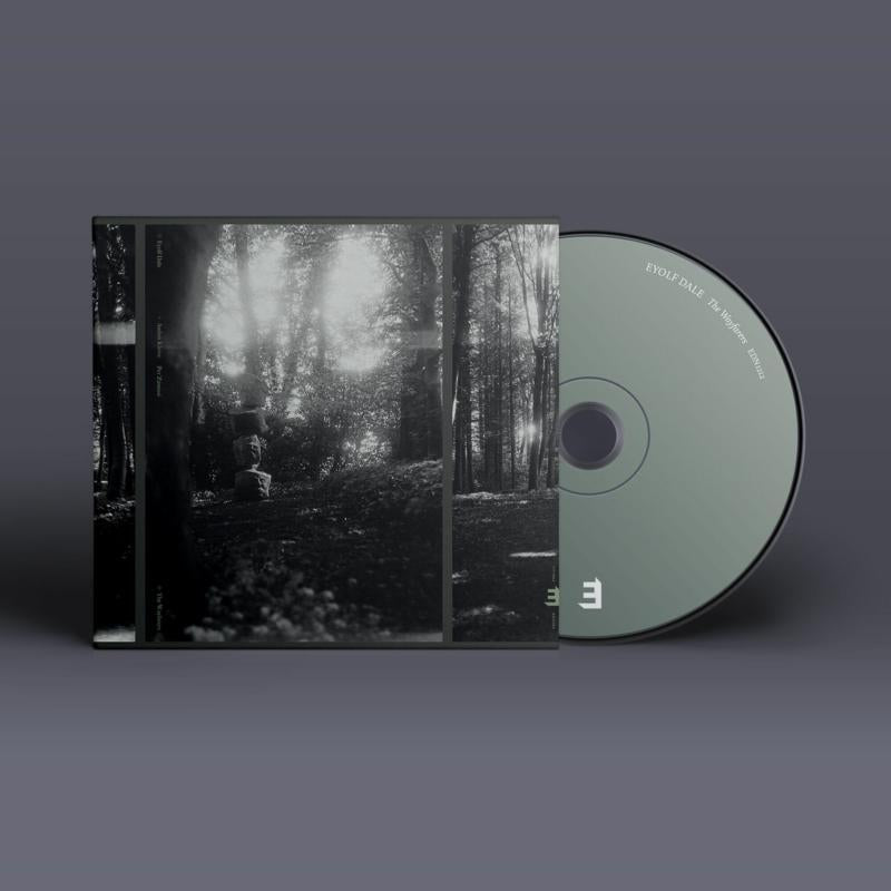 Eyolf Dale - Wayfarers - Cd
