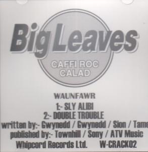 Big Leaves - Sly Alibi/Double Trouble - Cdr