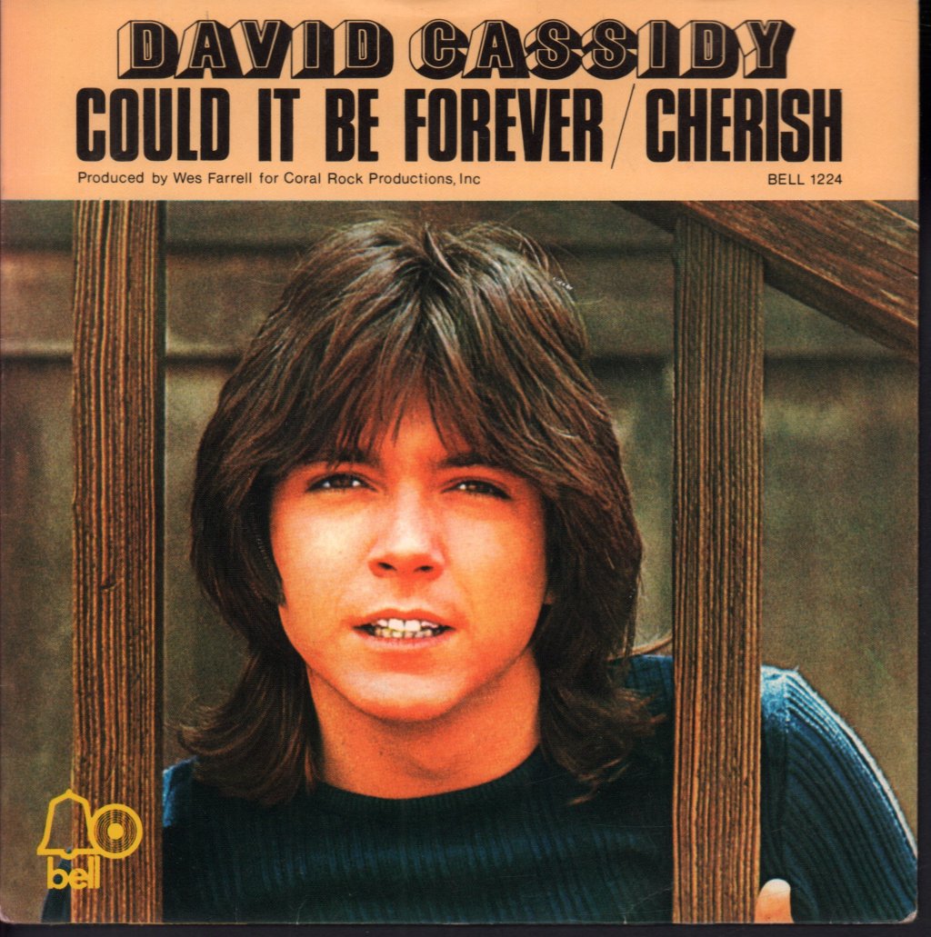 David Cassidy - Could It Be Forever - 7 Inch