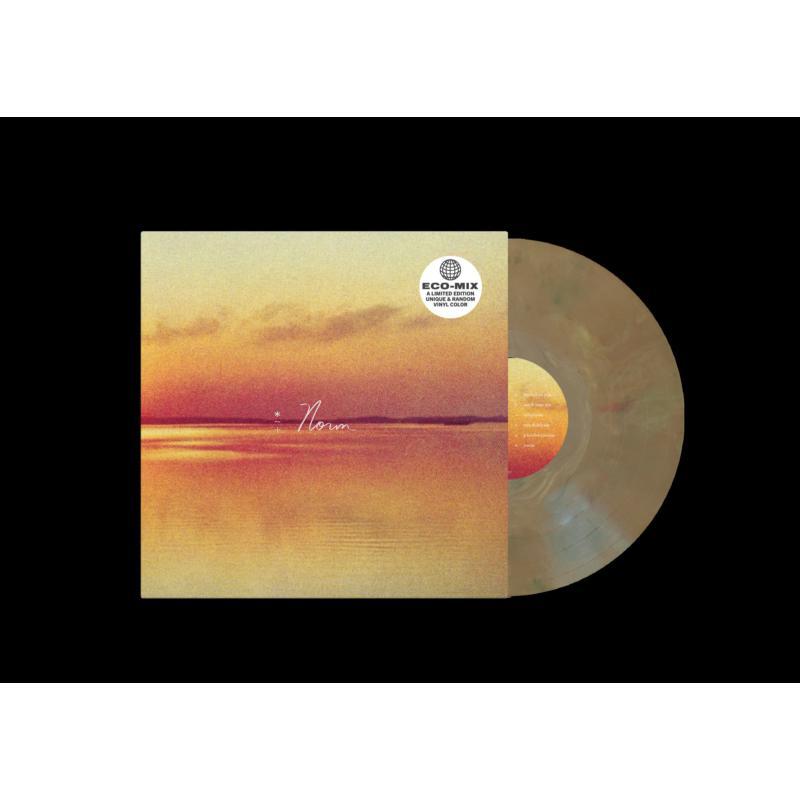 Andy Shauf - Norm - Lp