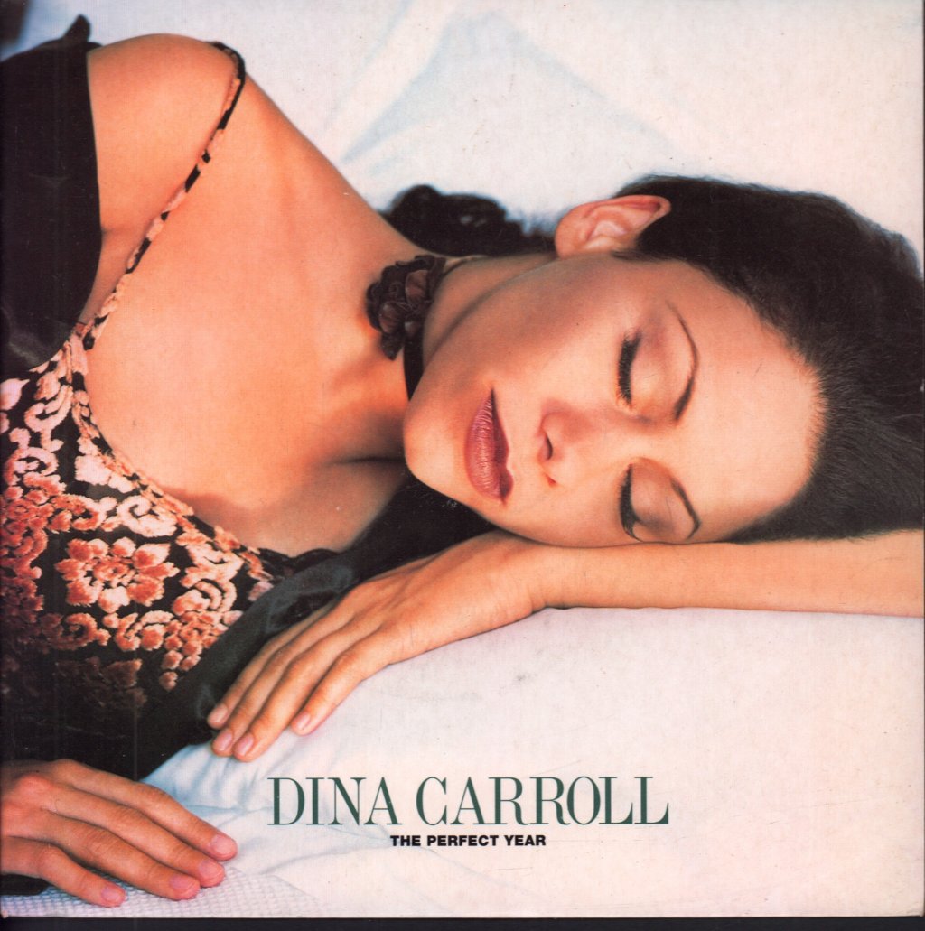 Dina Carroll - Perfect Year - 7 Inch