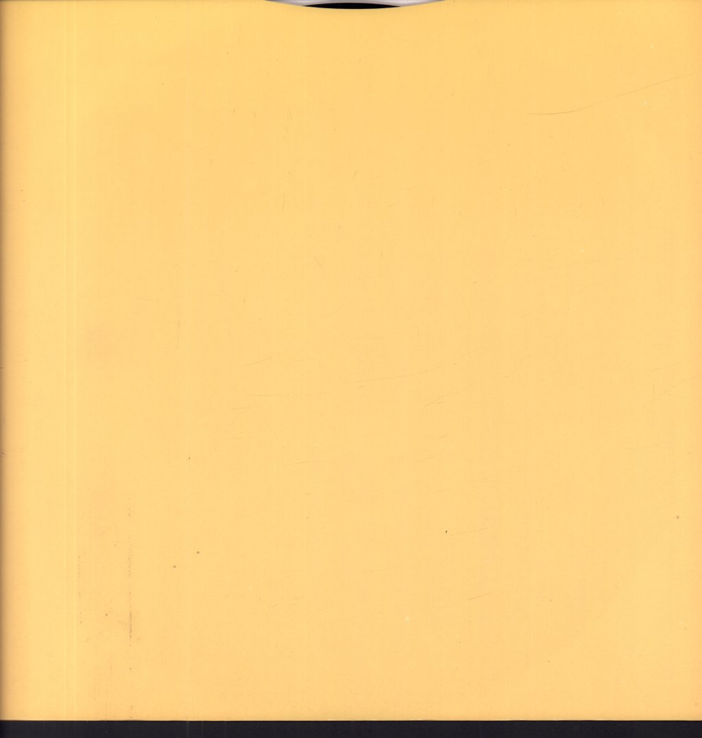 Paul McCartney - Flowers In The Dirt - Lp