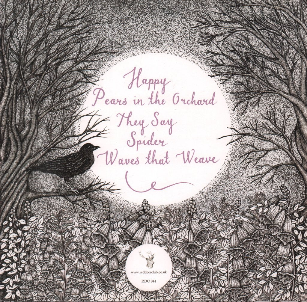 Literature Thieves - Moon Stories From The Glass Mountain - 10 Inch