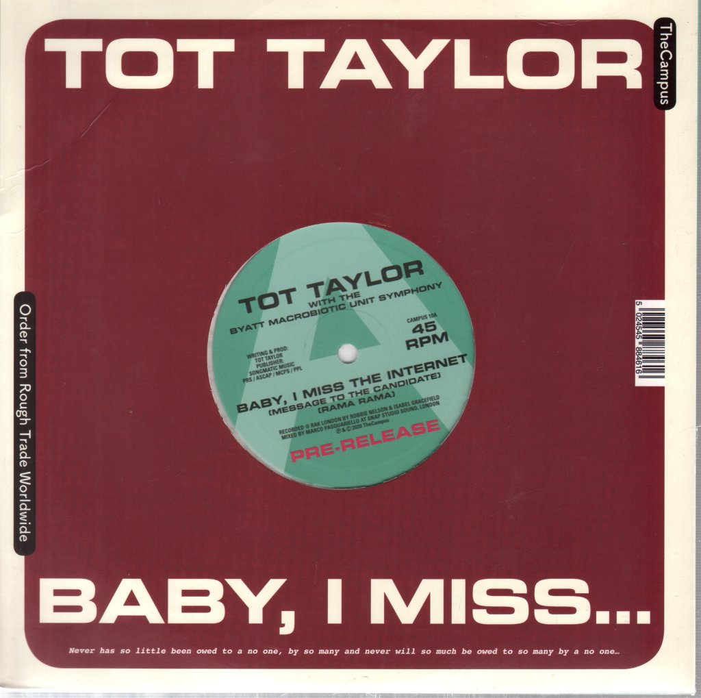 Tot Taylor - Baby, I Miss The Internet - 10 Inch