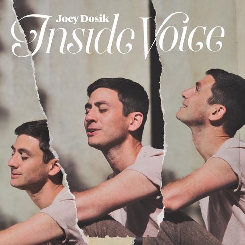Joey Dosik - Inside Voice - Lp