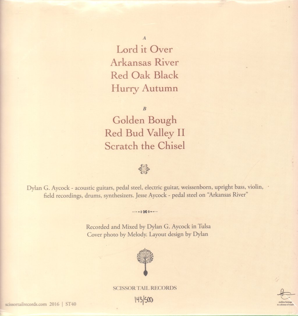 Dylan Golden Aycock - Church of Level Track - Lp