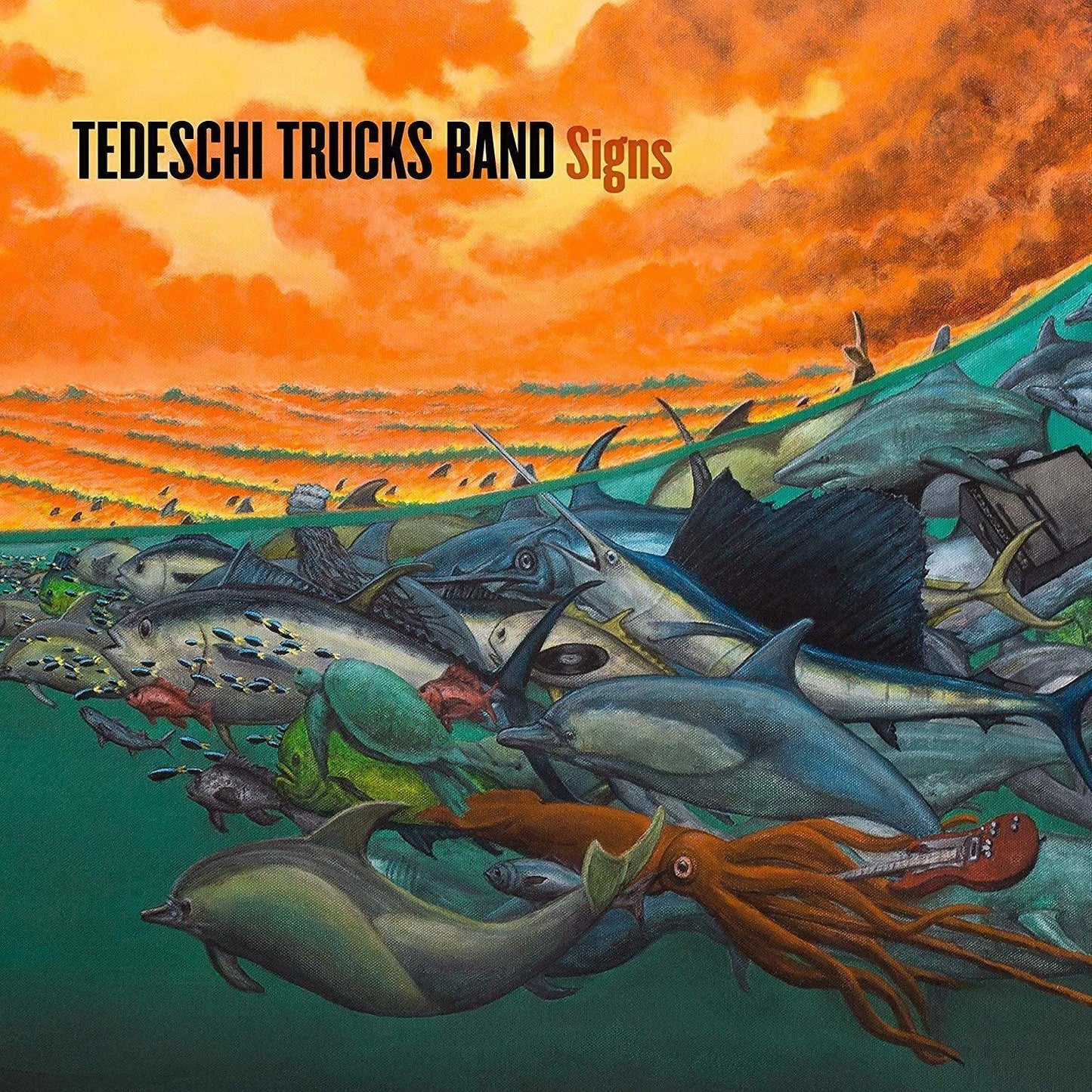 Tedeschi Trucks Band - Signs - Double Lp