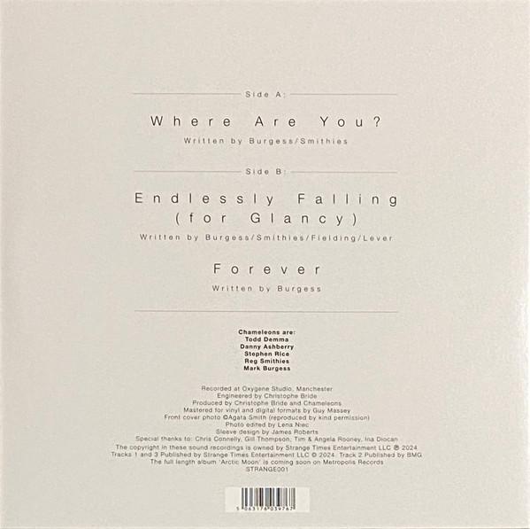 Chameleons - Where Are You? - 12 Inch