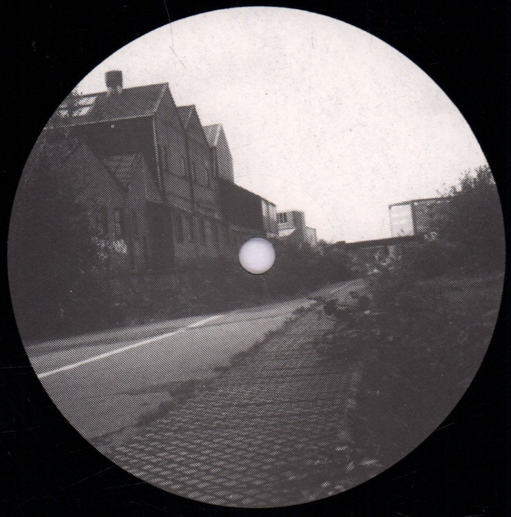 Orchids (Indie Group) - Penetration Ep - 12 Inch