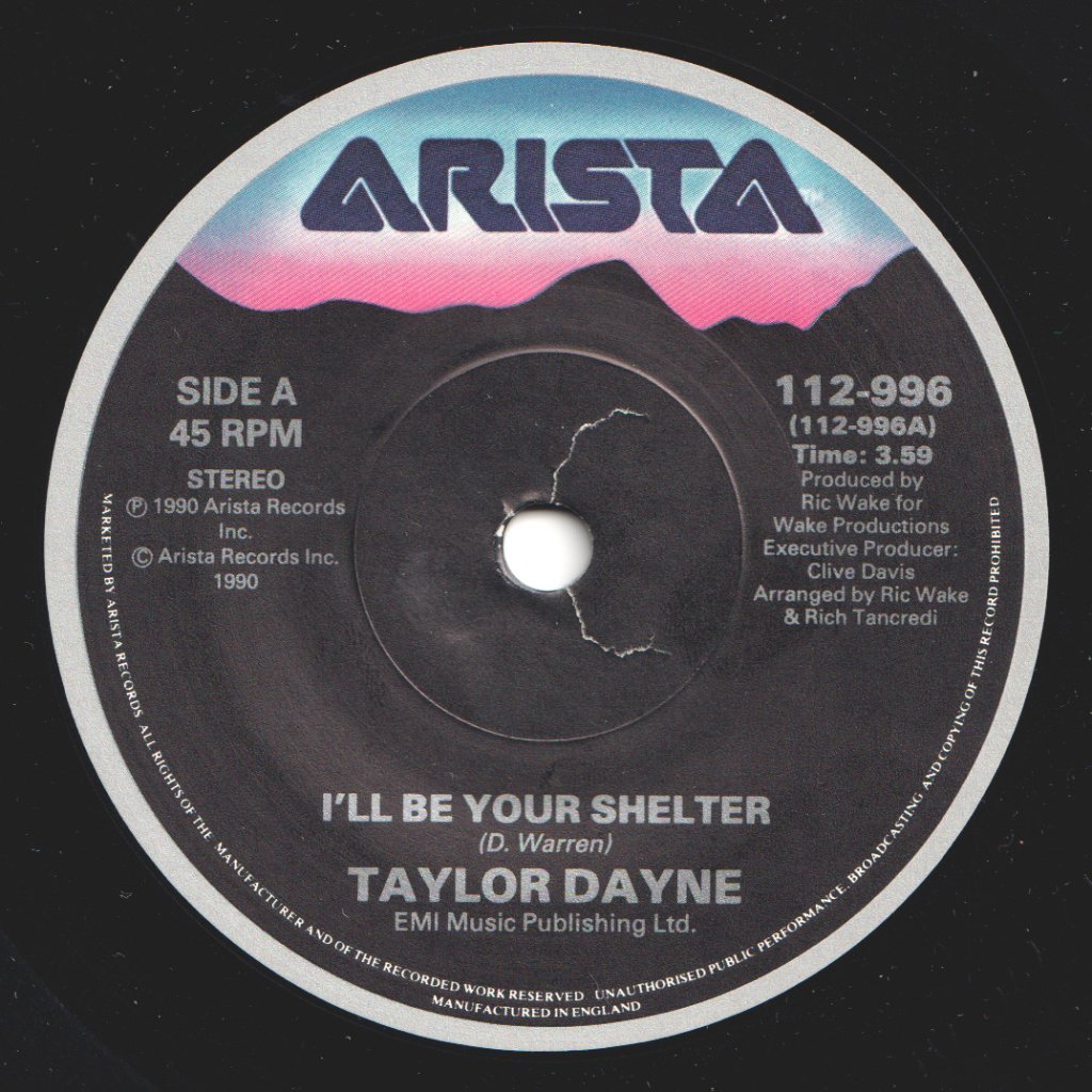 Taylor Dayne - I'll Be Your Shelter - 7 Inch