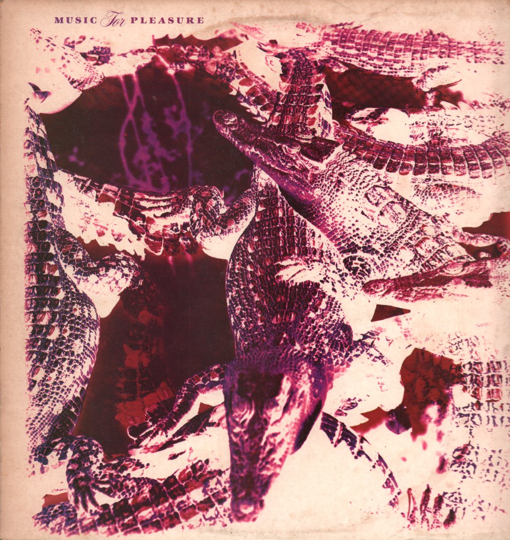 Music For Pleasure - Into The Rain - Lp