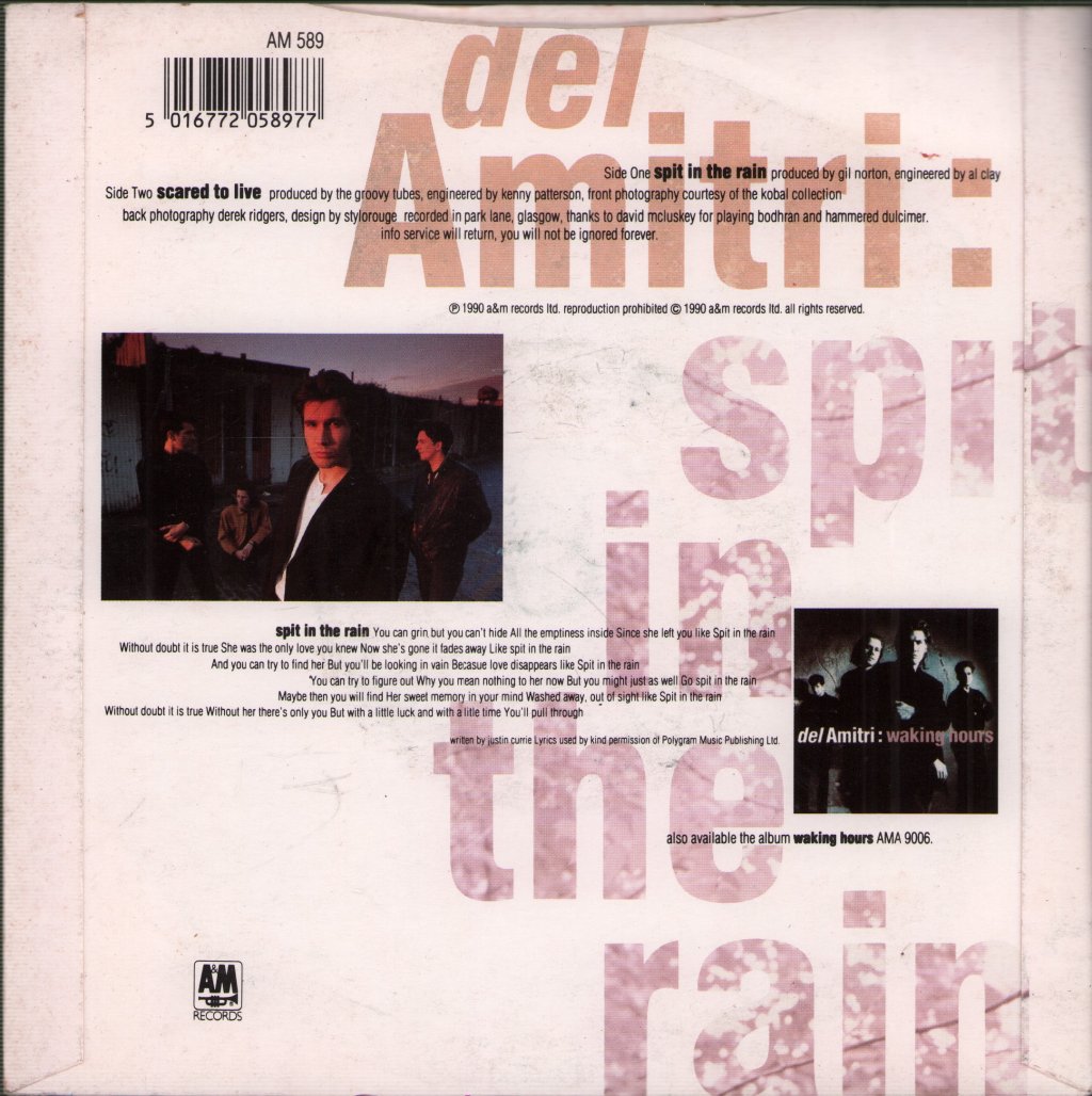 Del Amitri - Spit In The Rain - 7 Inch