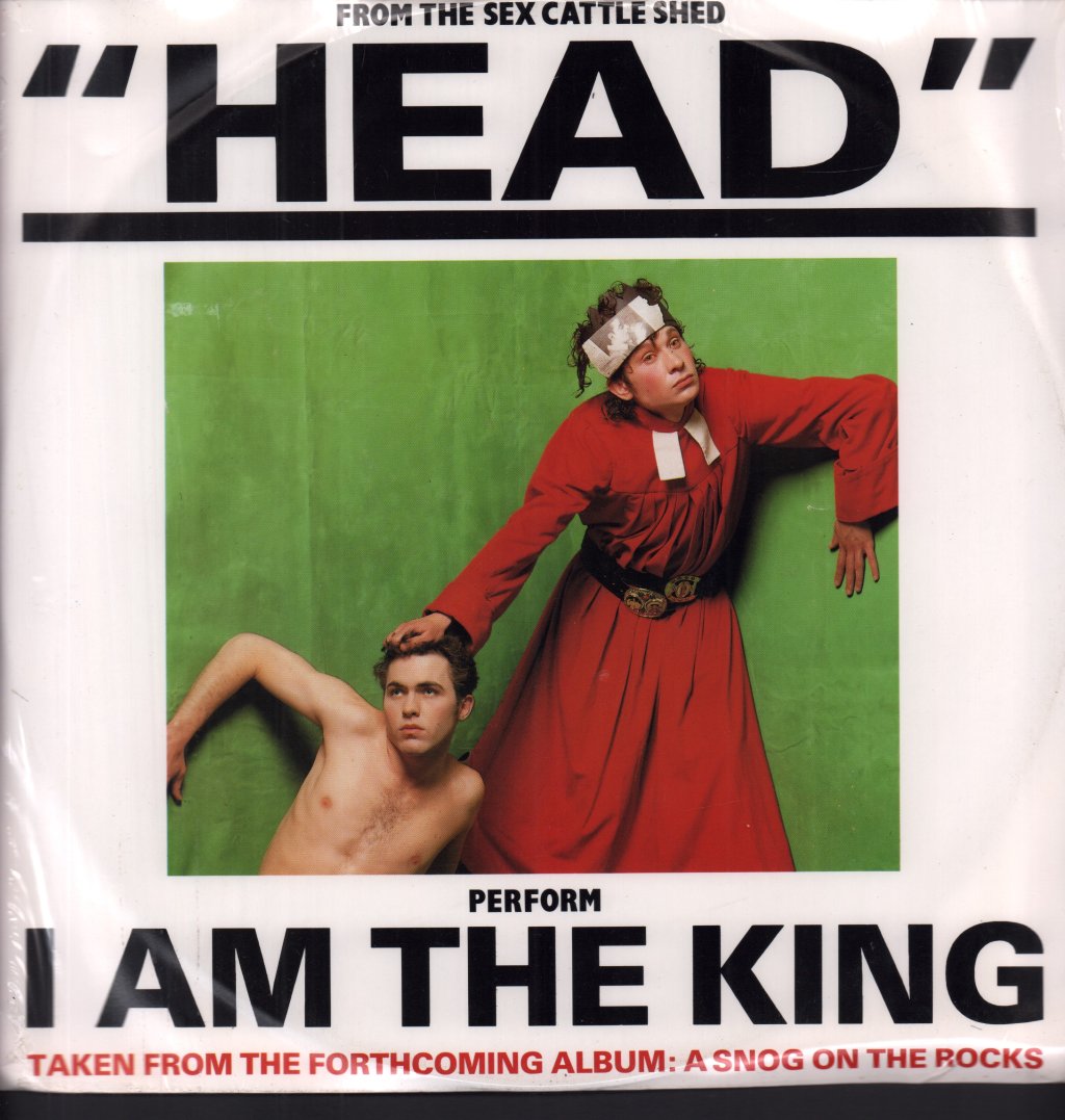 Head (80'S Group) - I Can't Stop - Double 12 Inch