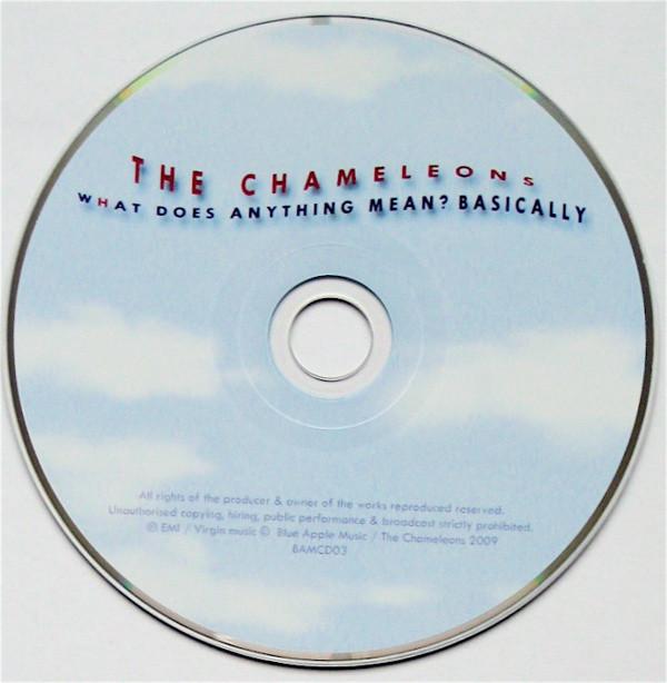 Chameleons - What Does Anything Mean Basically - Cd