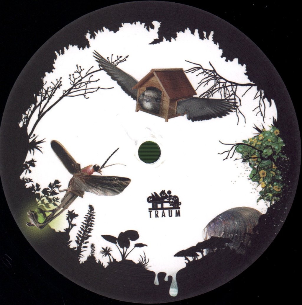 Dominik Eulberg - Diorama - Double Lp