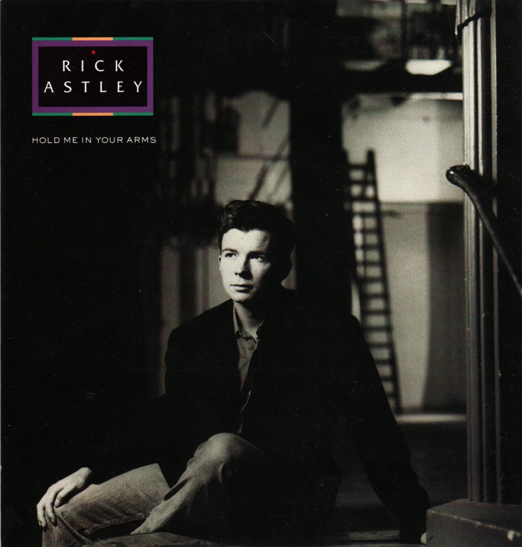 Rick Astley - Hold Me In Your Arms - 7 Inch