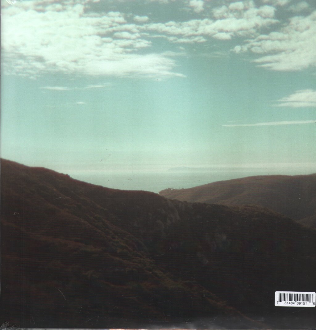 Ty Segall - Possession - Lp