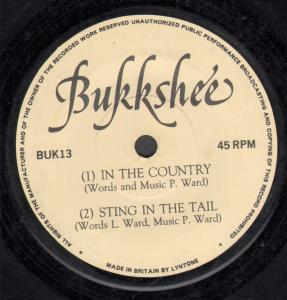 Bukkshee - In The Country - 7 Inch