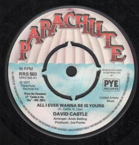 David Castle - All I Ever Wanna Be Is Yours - 7 Inch