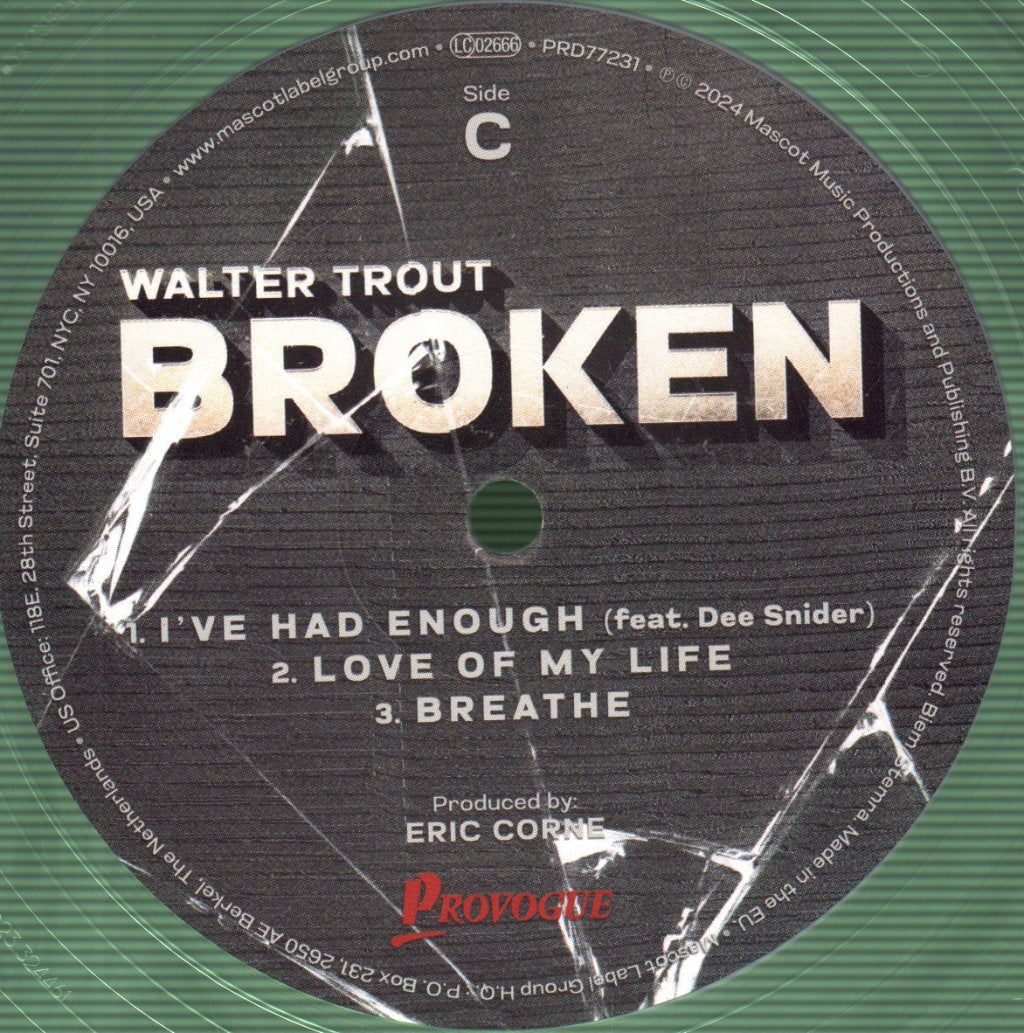 Walter Trout - Broken - Double Lp