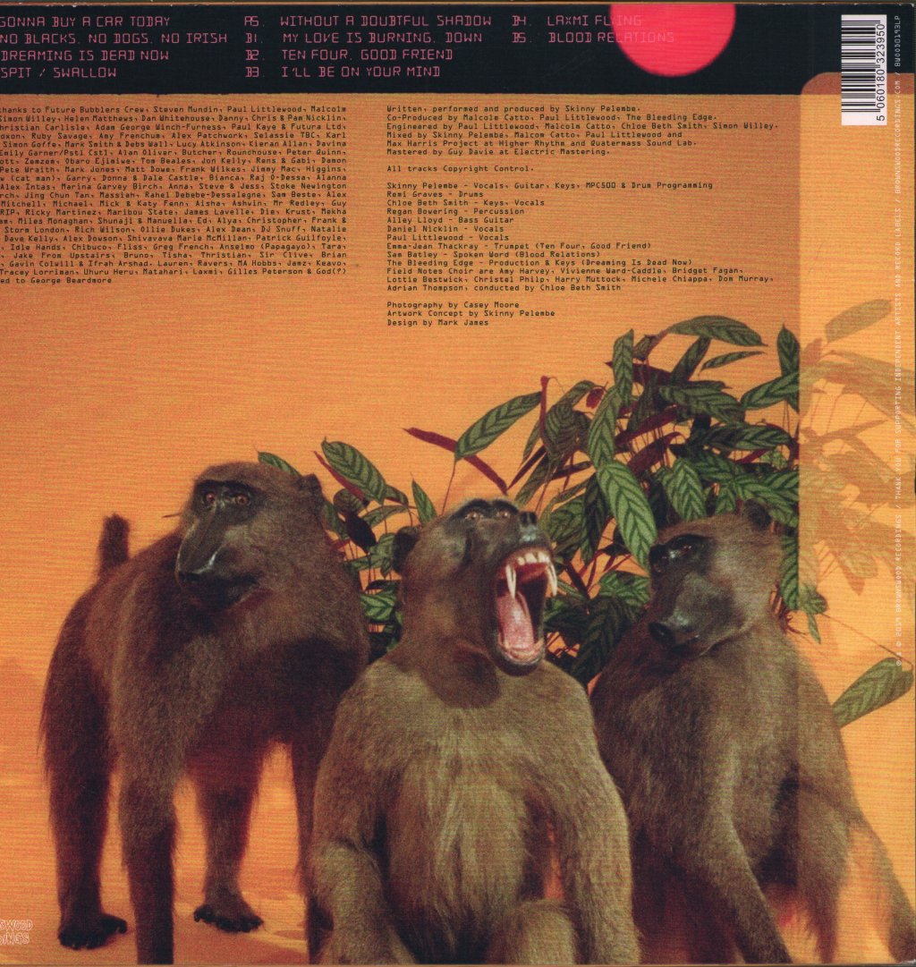 Skinny Pelembe - Dreaming Is Dead Now - Lp