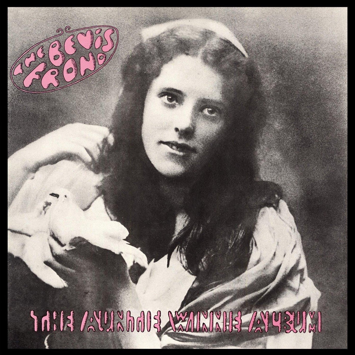 Bevis Frond - Auntie Winnie Album - Double Lp