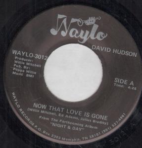 David Hudson - Now That Love Is Gone - 7 Inch