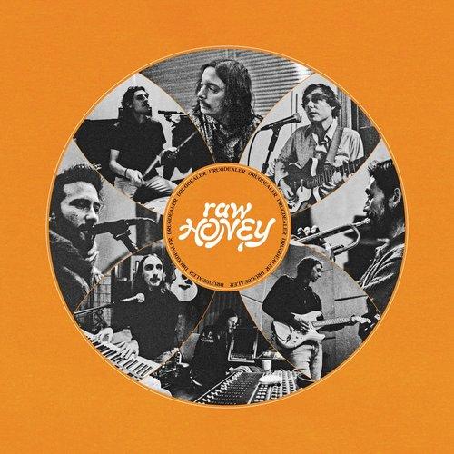 Drugdealer - Raw Honey - Cd