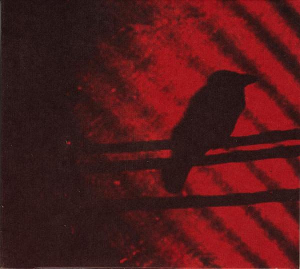 Silver Mt. Zion Memorial Orchestra And Tra La La Band - Born Into Trouble As The Sparks Fly Upward - Cd