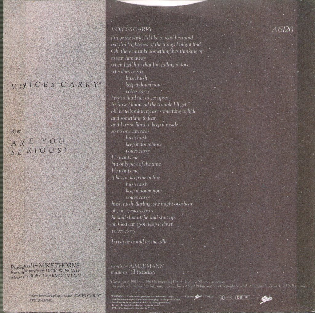 Til Tuesday - Voices Carry - 7 Inch