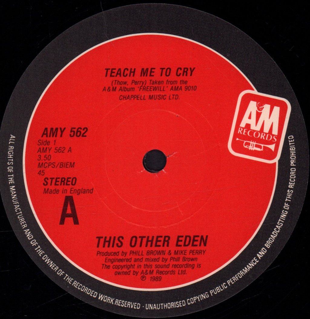 This Other Eden - Teach Me To Cry - 12 Inch