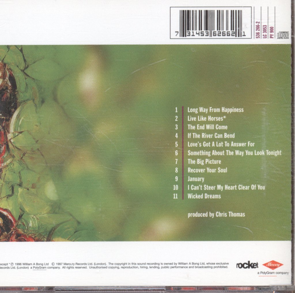 Elton John - Big Picture - Cd
