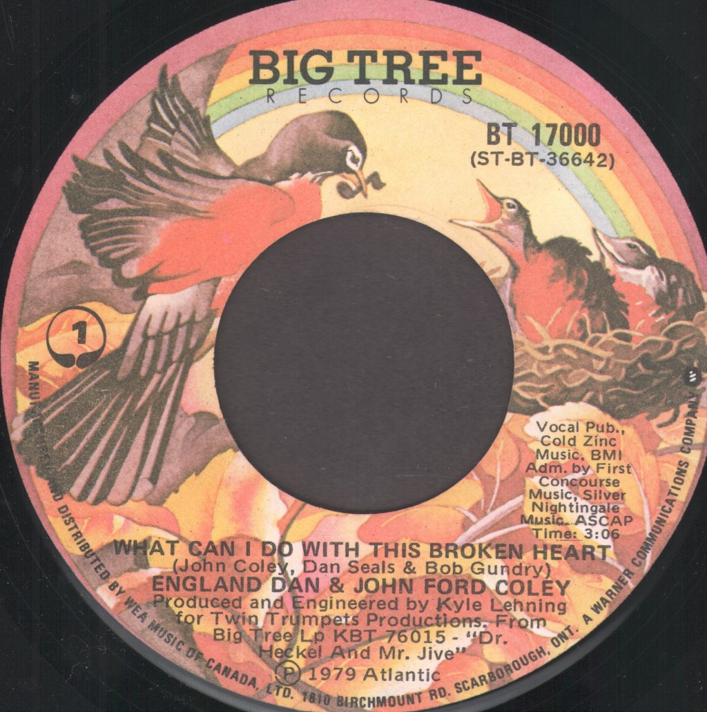 England Dan And John Ford Coley - What Can I Do With This Broken Heart - 7 Inch