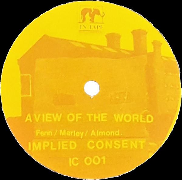 Implied Consent - Nobody In Particular - 7 Inch