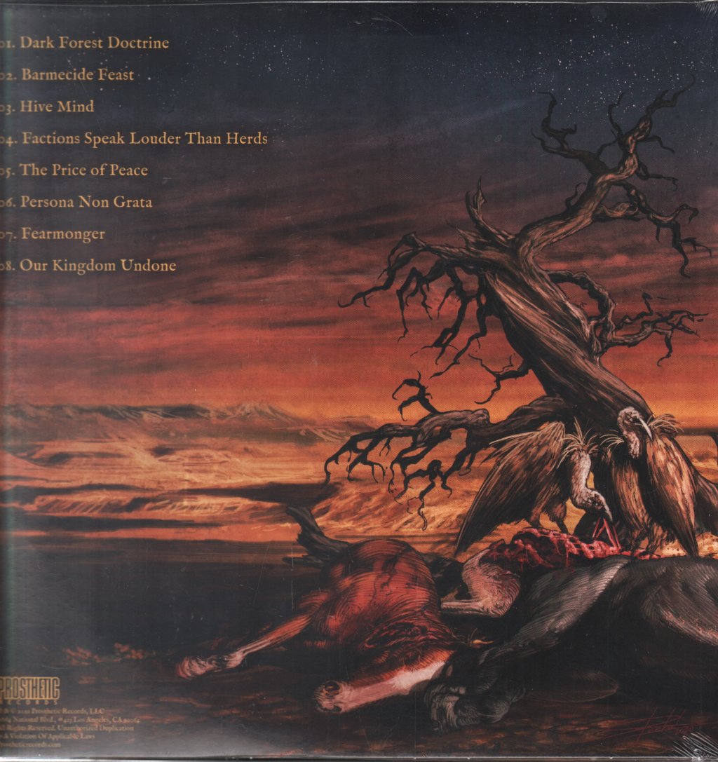 Beyond Grace - Our Kingdom Undone - Lp