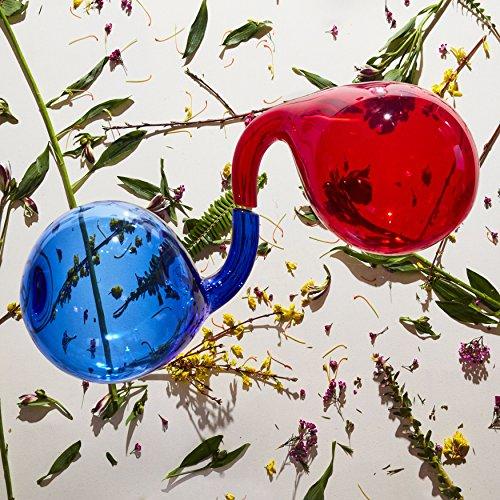 Dirty Projectors - Lamp Lit Prose - Cd