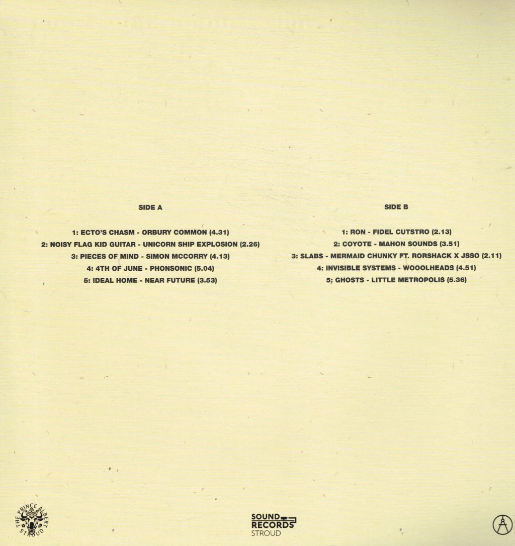 Various Artists - Patched In: Sounds of the Stroud Underground - Lp