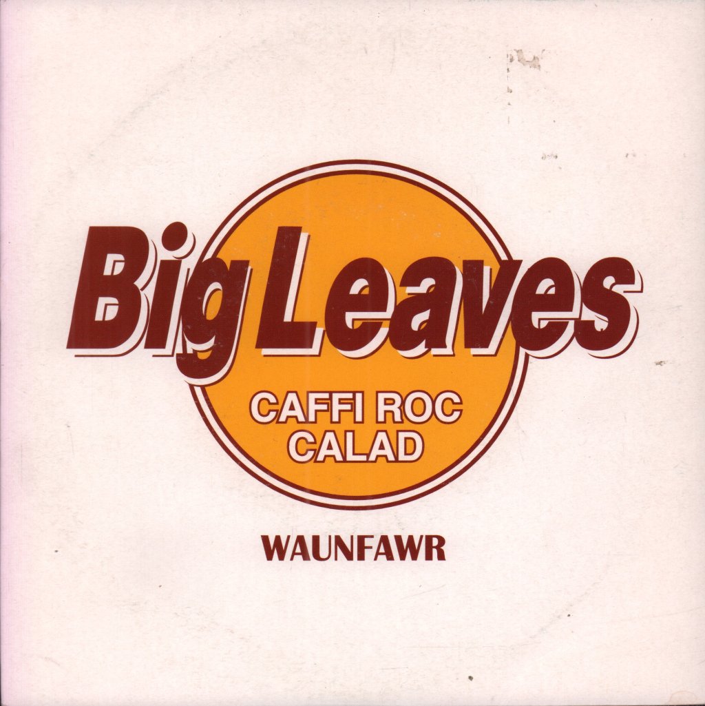 Big Leaves - Sly Alibi - 7 Inch