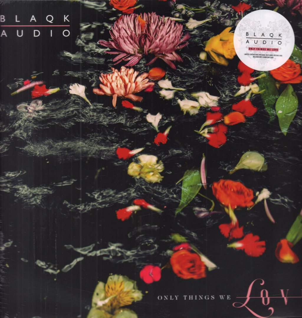 Blaqk Audio - Only Things We Love - Lp