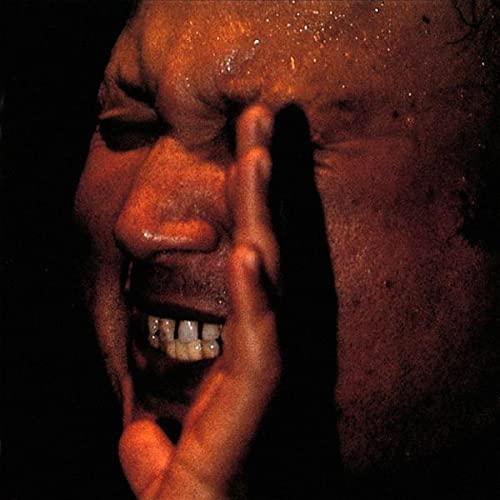 Nusrat Fateh Ali Khan And Party - Shahbaaz - Lp