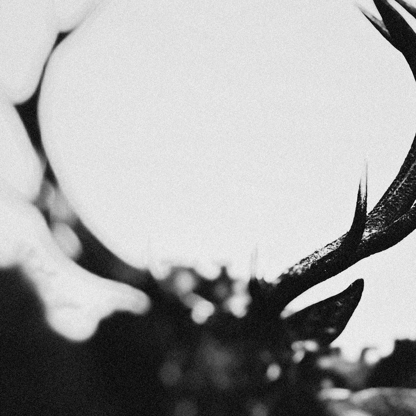 Ihsahn - Ihsahn (Orchestral Version) - Double Lp