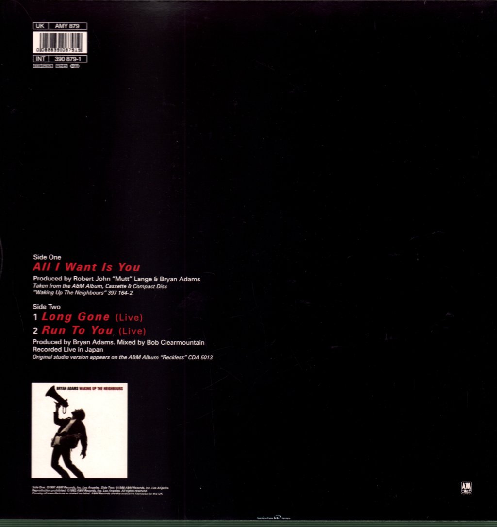 Bryan Adams - All I Want Is You - 12 Inch