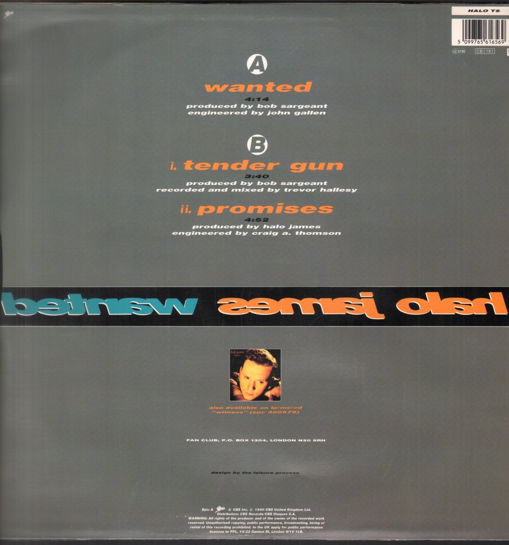 Halo James - Wanted - 12 Inch