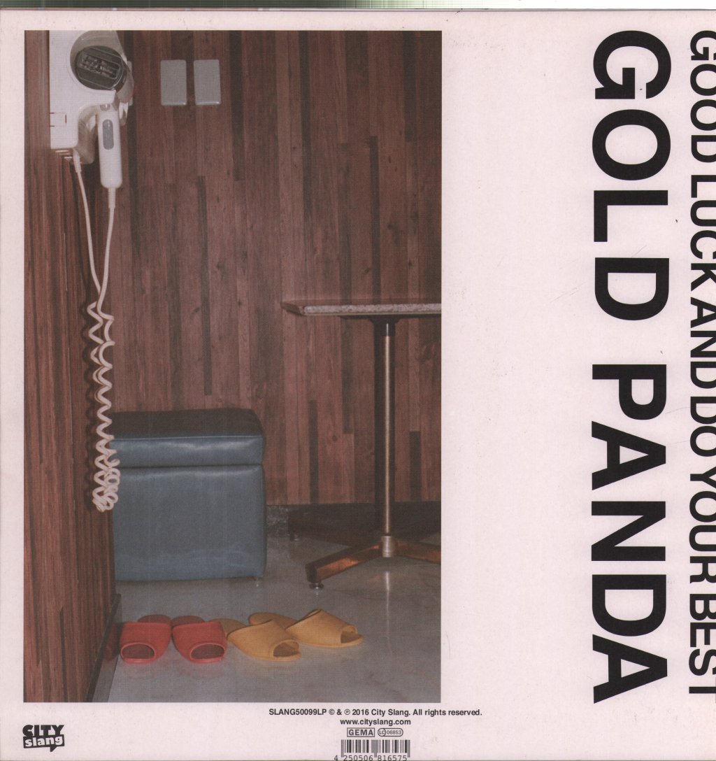 Gold Panda - Good Luck And Do Your Best - Lp