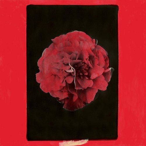 Activity - A Thousand Years In Another Way - Lp